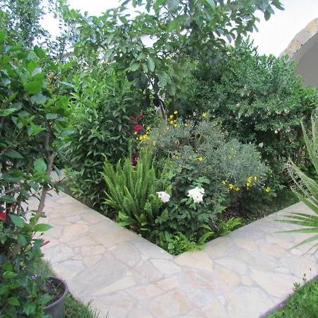 Pensión Cinderella &