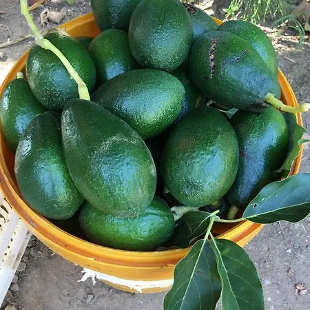 Pensión Cinderella & 3*