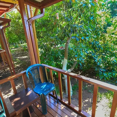 Cinderella & 3* Çıralı