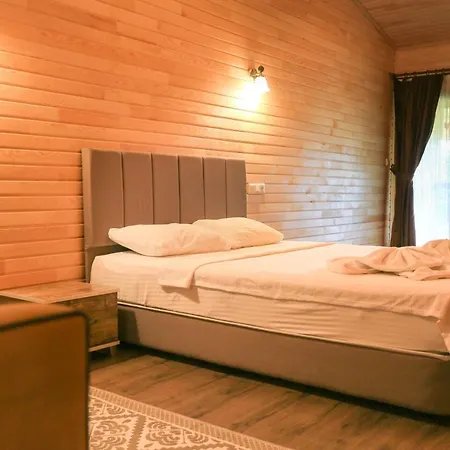 Pensión Cinderella & 3*