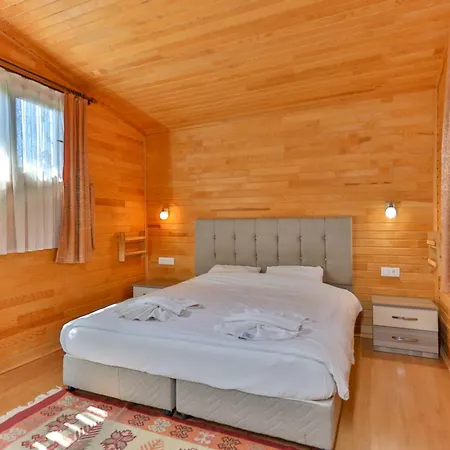 Cinderella & 3* Çıralı