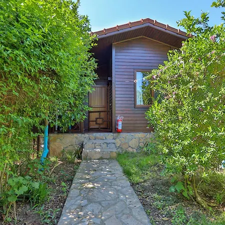 Cinderella & Çıralı