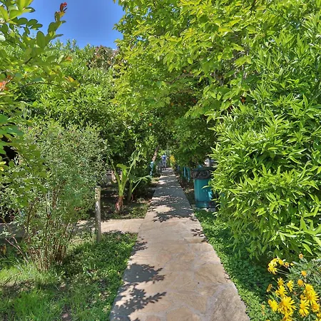 Cinderella & Pensión Çıralı