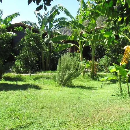 Cinderella & Гостевой дом 3*