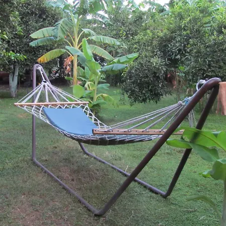 Cinderella & Чирали