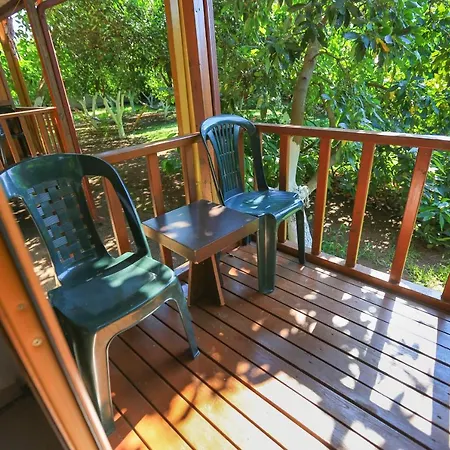 Гостевой дом Cinderella & 3*