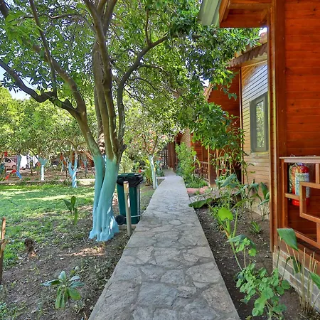 Гостевой дом Cinderella &